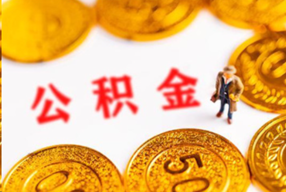 大渡口在职公积金提取条件